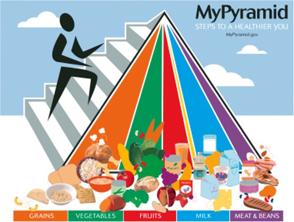 The USDA Food Pyramid (2005) 